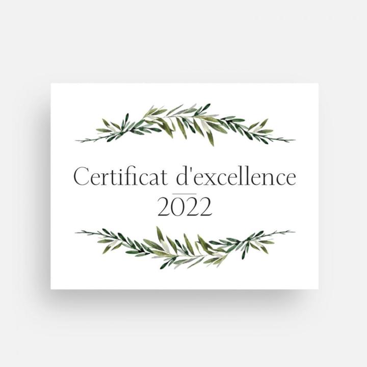 Logo certificat d'excellence 2022