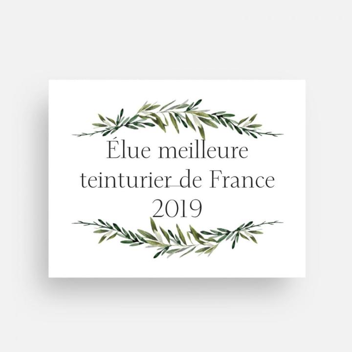 Logo Teinturier France 2019